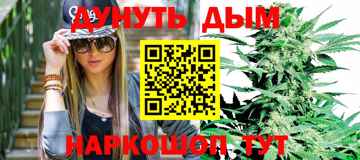 Шишки марихуана планчик  Канабис семена  Марихуана ГИДРОПОН  Конопля гибрид  Вход с VPN  Набережные Челны 
